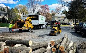 Best Storm Damage Tree Cleanup  in Legend Lake, WI